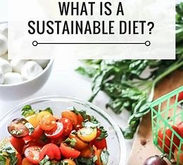 Understanding Food Sustainability: How Sustainable Practices Are Shaping the Future of Our Food Systems and Planet