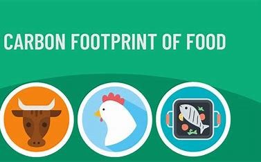 Discover How Simple Food Choices Can Help Reduce Carbon Footprints and Contribute to a Healthier Planet