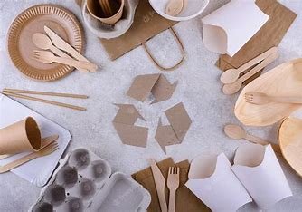 Exploring the Latest Innovations in Sustainable Food Packaging: Eco-Friendly Solutions for a Greener Future