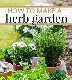 A Beginner’s Guide to Growing Your Own Herbs and Vegetables: Simple Steps for a Thriving Home Garden