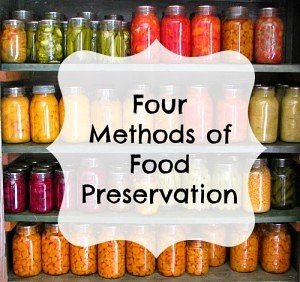 Food preservation has evolved from traditional methods like drying and salting to modern techniques such as freezing, canning, and vacuum sealing, enhancing food safety and shelf life.