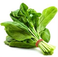 Exploring the Nutritional Power of Palak (Spinach): A Versatile Green with Health Benefits and Culinary Traditions