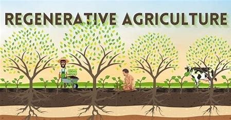 How Regenerative Agriculture Practices Are Shaping the Future of Sustainable Farming and Restoring Soil Health for Generations to Come