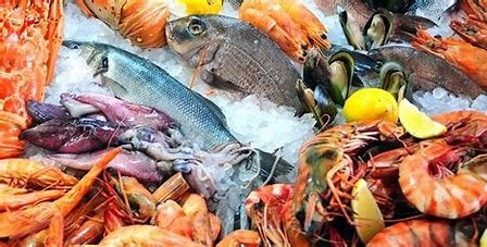 Making Informed Sustainable Seafood Choices: Protecting Oceans and Ensuring Healthy Fisheries for Future Generations