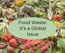 Exploring the Impact of Food Waste on the Environment: How Reducing Waste Can Help Conserve Resources and Protect the Planet