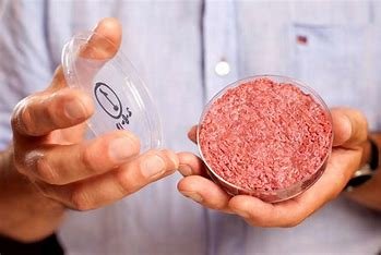 Lab-grown meat holds the potential to revolutionize the food industry by providing sustainable, ethical alternatives to traditional meat. It could reduce environmental impact, address food security, and offer healthier, customizable protein options.